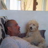 c'est l'ami qui m'a donné ce chien