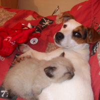 Photo #200137 de Maya