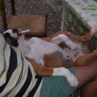 Photo #200143 de Bianca