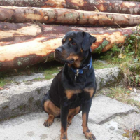 Photo #200148 de Macha