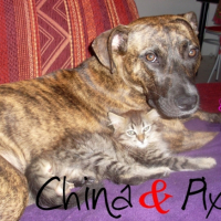 China et Pixie