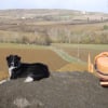 Bootsie toujours au chantier