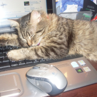 dure journée!!!!!