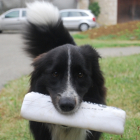 Photo #200197 de Bootsie