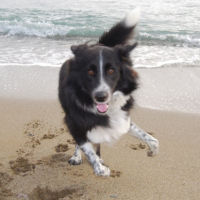 Photo #200203 de Bootsie
