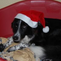 Photo #200214 de Bootsie