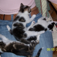 Photo #200235 de Lili