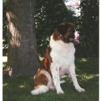 Photo #200352 de Oliver