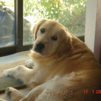 Photo #200366 de Uran