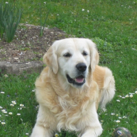 Photo #200370 de Uran