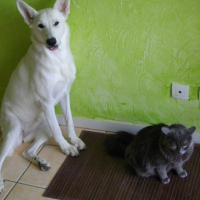 Photo #200379 de Dixy
