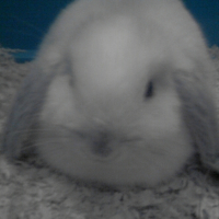 Photo #200404 de Yuki