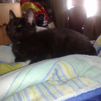 Photo #200485 de Miiko