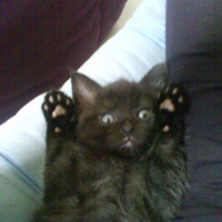 Photo #200548 de Elya