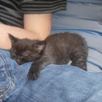 Photo #200550 de Elya