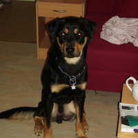 Photo #200552 de Radjah