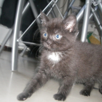 Photo #200553 de Elya