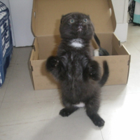 Photo #200559 de Elya