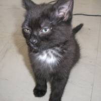 Photo #200562 de Elya