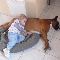 Photo #200620 de Titeuf