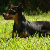 Photo #200651 de Daully