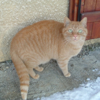 Photo #200656 de Vidocq