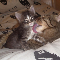 Photo #200726 de Zina