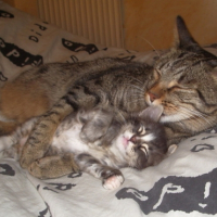 Photo #200728 de Zina