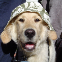 Photo #200732 de Baboo