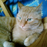 Photo #200767 de Vidocq