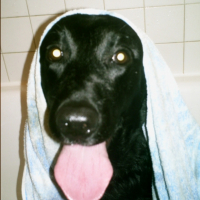 Photo #200801 de Teo