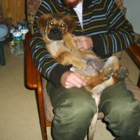 Photo #200981 de Lenny