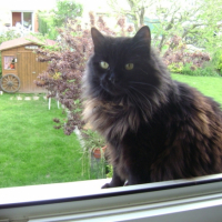 Photo #200985 de Stan
