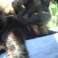 Photo #200988 de Stan