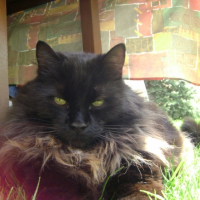 Photo #200989 de Stan