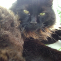 Photo #200992 de Stan