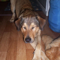 Photo #200994 de Lenny