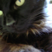 Photo #200996 de Stan