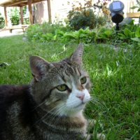 DSC00109