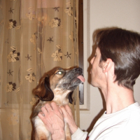 Photo #201020 de Chipie