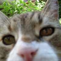 DSC00102