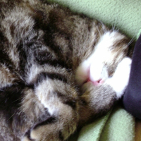 DSC00090