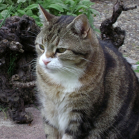 DSC00148