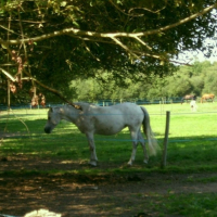 Photo #201034 de Mirzaa