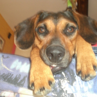 Photo #201101 de Bayka