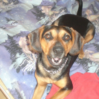 Photo #201104 de Bayka