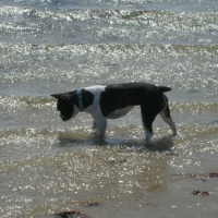 Photo #201119 de Crystal
