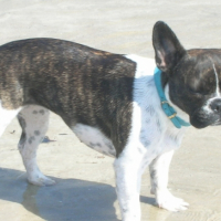 Photo #201122 de Crystal