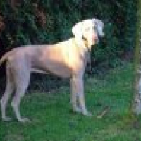 Photo #201141 de Roxy