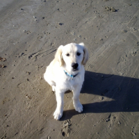 Photo #201145 de Cannelle